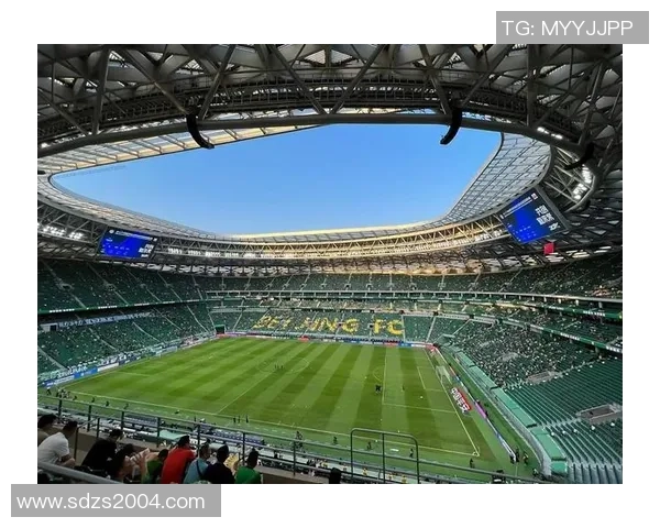 纵横绿茵场的传奇巨星与足球历史辉煌时刻合集